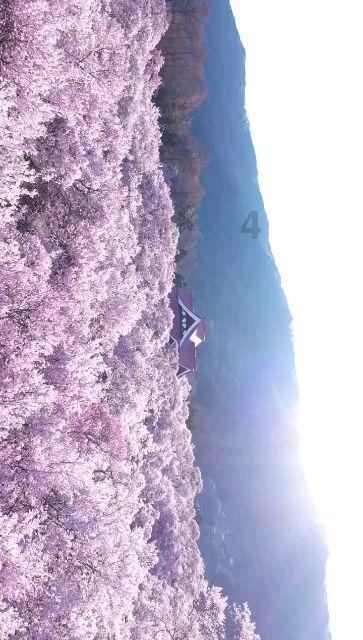 蓝点的冒险无敌版