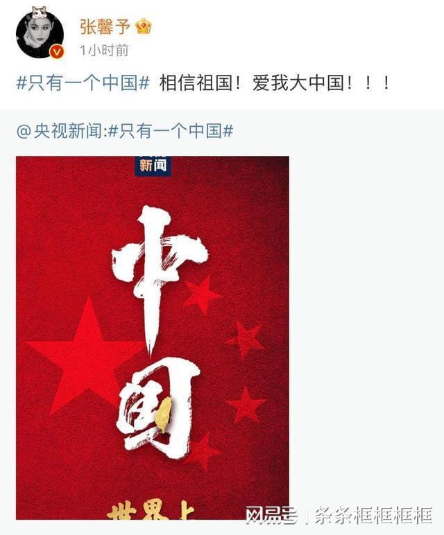 解救金刚鹦鹉