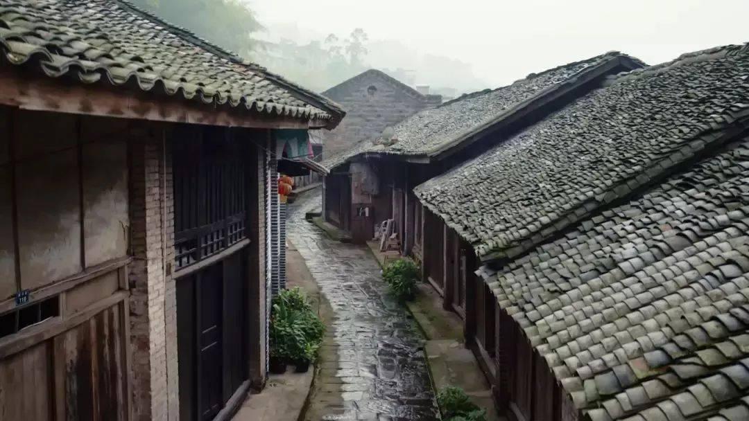 火了!多只旅游股大幅预增