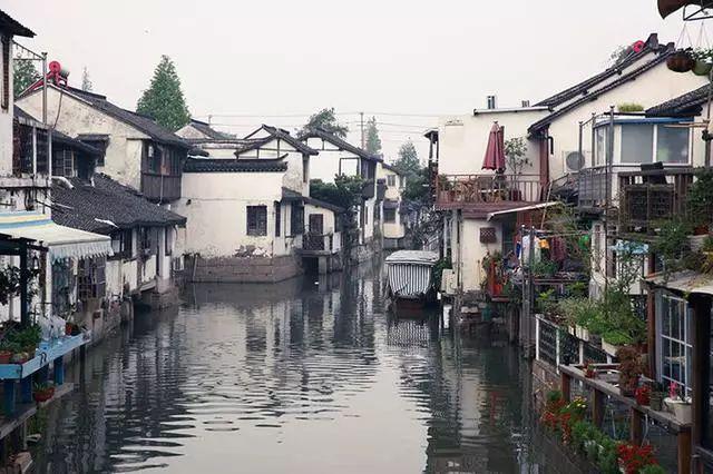红色鹦鹉逃脱
